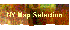 NY Map Selection